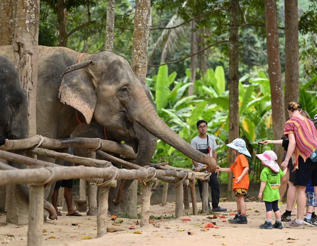 5-Day Private Chiang Mai Tour with Doi Inthanon & Elephant Sanctuary | Led by Women 5-Day Private Chiang Mai Tour with Doi Inthanon & Elephant Sanctuary | Led by Women