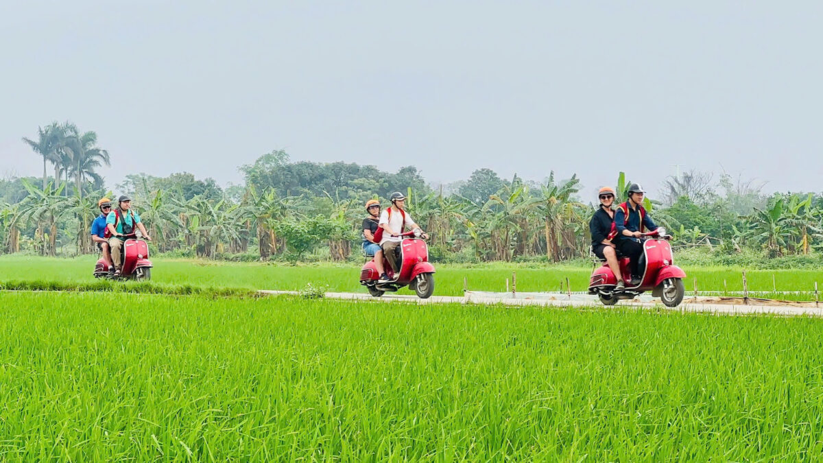 Hoi An Countryside Vespa Tour  Private Tour Led By Women