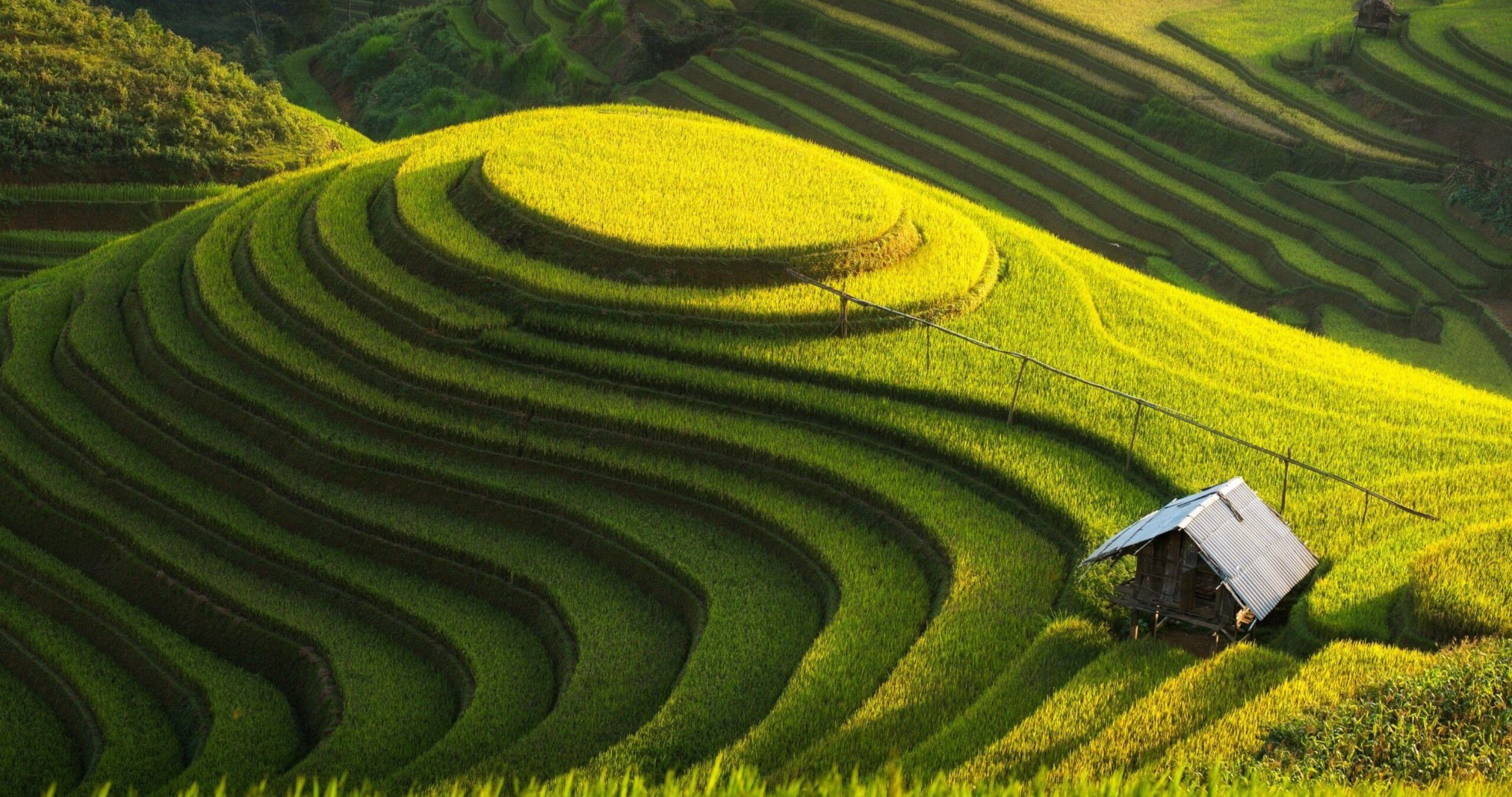 5-Day Private Sapa & Fansipan Tour Led By Women 5-Day Private Sapa & Fansipan Tour Led By Women