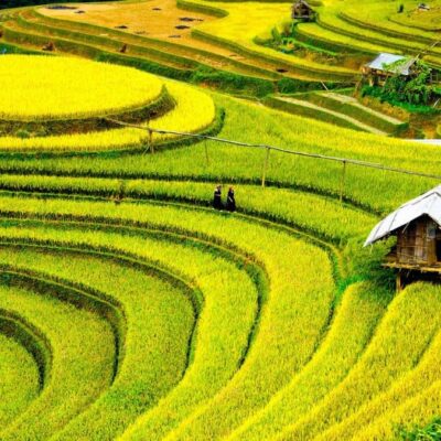 10-Day Vietnam Essential Journey Private Tour Led By Women