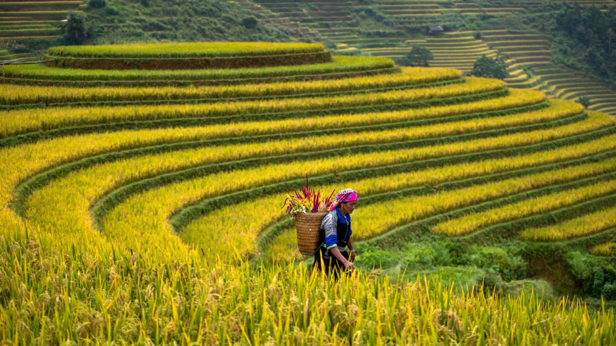 Ha Giang – Cao Bang Private Tour | 5 Days - Private Tours Led by Women Ha Giang – Cao Bang Private Tour | 5 Days - Private Tours Led by Women