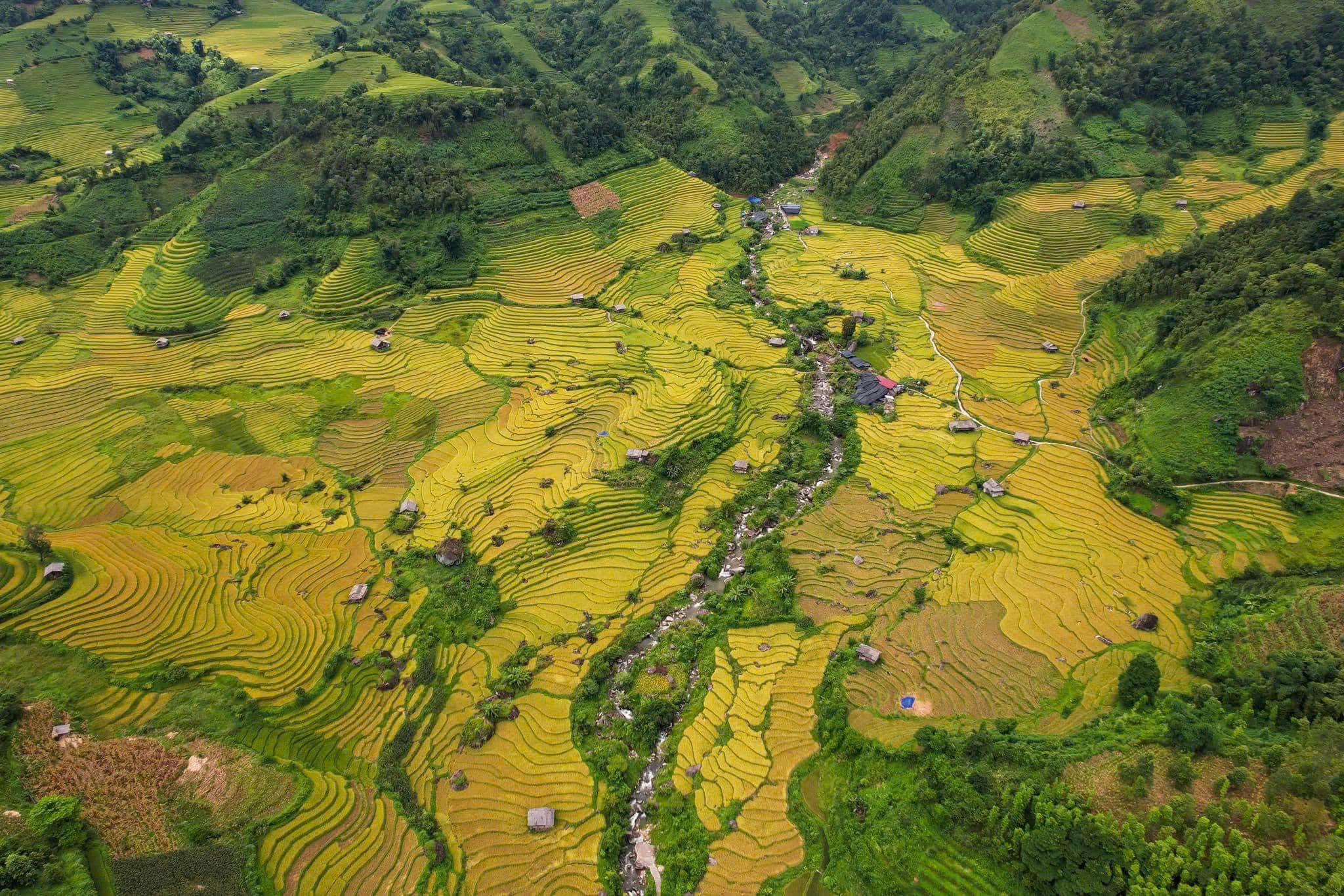 Ha Giang Luxury Car Tour | 4 Days Private Tours Led by Women Ha Giang Luxury Car Tour | 4 Days Private Tours Led by Women